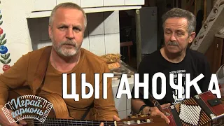 Играй, гармонь! | Владимир Сергеев (г. Вологда) | «Цыганочка»