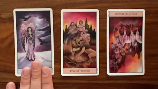 The path is made clear 16 November 2021 Your Daily Tarot Reading with Gregory Scott