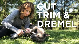 How To Correctly Cut, Trim & Dremel Your Dog's Nails