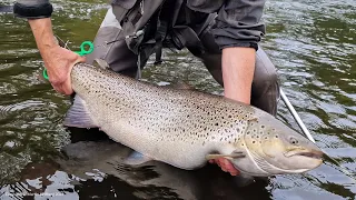 How to catch a 10 kilo sea trout on fly - Things you need to know. Fly fishing in the Mörrum river