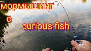 Мормышинг с приманками от curious fish.даже не думал что будет такой клёв 👍.3 октября.