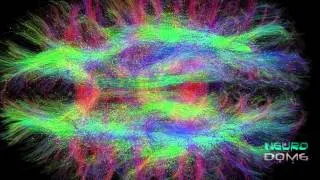 Diffusion Tensor Imaging (DTI) revealing connectivity in the brain