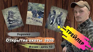 Трейлер - Открытие охоты на фазана в Украине 2020. День - 1й.