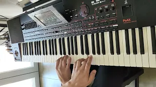 Felicità - Albano e Romina (cover) Keyboard Arranger Korg