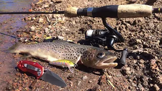 Catch n’ Cook Red Meat Brown Trout