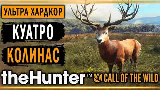 theHunter Call of the Wild #1 🐺 - Куатро Колинас (часть 1) - Хардкорная Охота