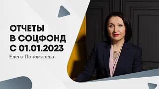 Новые отчеты с 01.01.2023 - Елена Пономарева