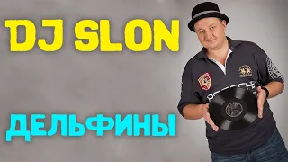 Dj Slon - Дельфины (все дельфины в ураган) | Аудио