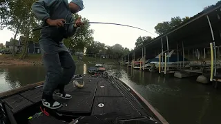 Flipping the Megabass Magdraft Swimbait on Boat Docks