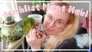 I Bought All My Wishlist Houseplants! MASSIVE Plant Haul!