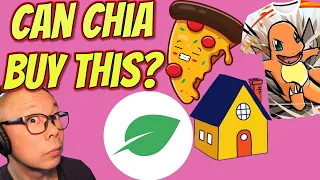 What can Chia XCH really buy?