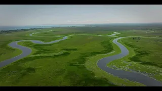 Water is life: Wetland conservation and the Bad River Band of Lake Superior Chippewa