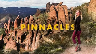Pinnacles National Park in One Day (hiking, caves, condors, + more!)