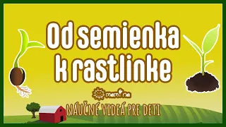 Od semienka k rastline | maminask :)