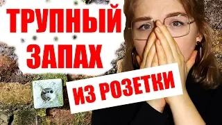 СОСЕДИ УЗНАЛИ О СМЕРТИ МУЖЧИНЫ ПО ТРУПНОМУ ЗАПАХУ 16+