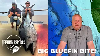 Southern California Bight FISHING REPORT 05/23/2024