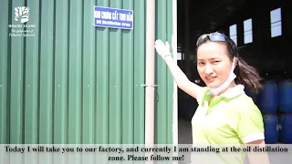 [PART 1] HAGA Natural Agarwood Oil: The biggest oil plant in Vietnam from Hoang Giang manufacturer