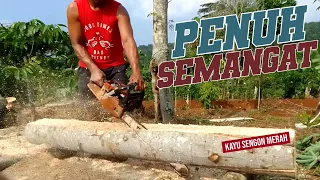 Process of Making Rafters From Sengon Wood Trunks Using a Small Chainsaw