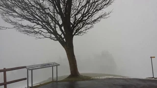 179 km/h wind gusts at Gäbris mountain (Switzerland)