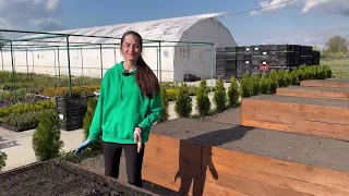 ЗАСІВАЄМО ВИСОКІ ГРЯДКИ 🌱 СІЄМО ОВОЧІ 🥕🍅🥒 ТА КВІТИ 🌻🌸🌼