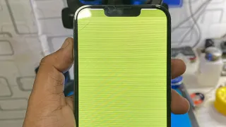 13 Pro green screen repaire