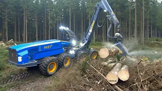 Beast in huge timber - Rottne H21D