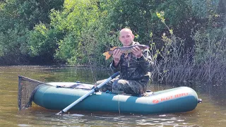 Шостка 🚂🚃🚃🚃Пирогівка. За щукою🌊🐬.