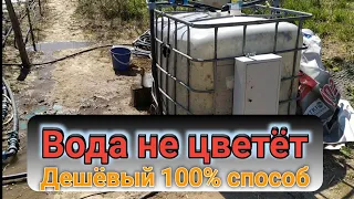 Вода после этого не цветёт. 100% дешёвый способ. Belklubnika.by