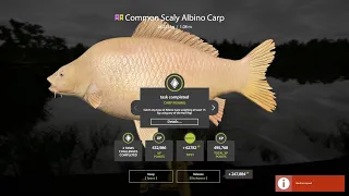 Russian Fishing 4 Trophy Common Scaly Albino Carp 24.223kg