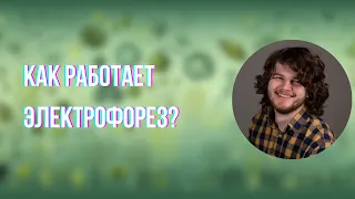 ПЦР и Гель-электрофорез : то, что должен знать любой олимпиадник (часть 1) | Кирилл Ларичев