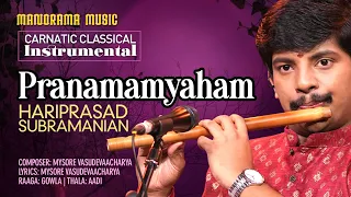 Pranamamyaham | Gowla | Hariprasad Subramanian