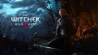 The Witcher 3 Wild Hunt EXTENDED OST -  Ard Skellig General Combat [Layer 01]