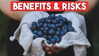 5 Secret Benefits of Blueberries [and 4 Potential RISKS]