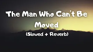 THE MAN WHO CAN'T BE MOVED -- BY THE SCRIPT ( Slowed + Reverb)