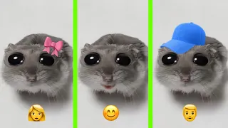 Sad Hamster versions