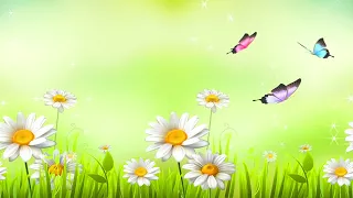 Butterfly, flowers, chamomile | Animated Ambient Backdrop
