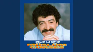 Dağlarda Kar Olsaydım