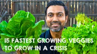 15 Fastest Growing Survival Vegetables to Grow in a Crisis