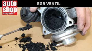 Kako radi i kako se održava EGR ventil ASM 1153