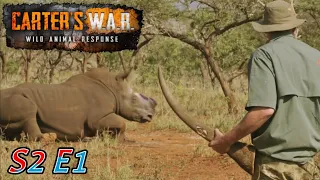 Carter's War S2 E1 At All Costs | African wildlife documentary in hindi | Animal Planet Hindi india