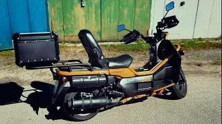 РЕДКИЙ СКУТЕР HONDA BIG RUCKUS МЕБЕЛЬНОГО ОЛИГАРХА