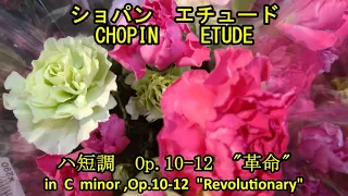 ショパン　エチュード　Op.10- 12　「革命」　　　CHOPIN   ETUDE  Op.10-12　"Revolutionary"