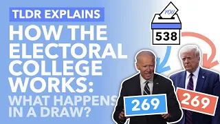 How Does the Electoral College Work? What Will Happen in 2020 & What if There's a Tie? - TLDR News