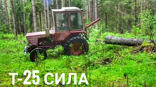 Т-25 тягає дерева по 6м! (Архівне відео)