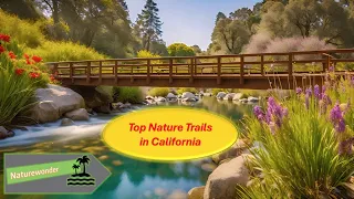 Nature Relaxation Video: Scenic Bay Trails, California #nature #explore #yt #california #travel