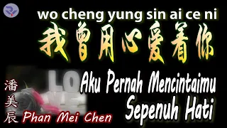 💖【好歌重现】Wo Cheng Yung Sin Ai Ce Ni / Phan Mei Chen -  我曾用心爱着你 （潘美辰）