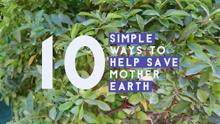 10 Simple Ways To Help Save Mother Earth