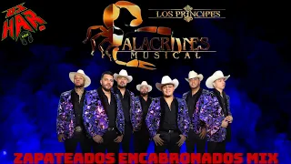 ALACRANES MUSICAL ZAPATEADOS ENCABRONADOS MIX PERRON DE PERRONES PA' ZAPATEAR 2023 - 2024 DJ HAR