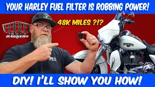 Change Your Harley Davidson Fuel Filter Like A Pro!