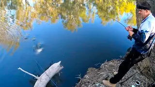 Ovens River fishing shenanigans with Brett